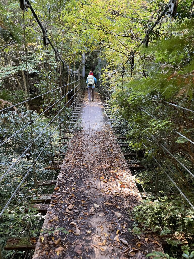 連年余り - 于培山 Live streaming of vintage car event] The 5th TEAM Nishigumi